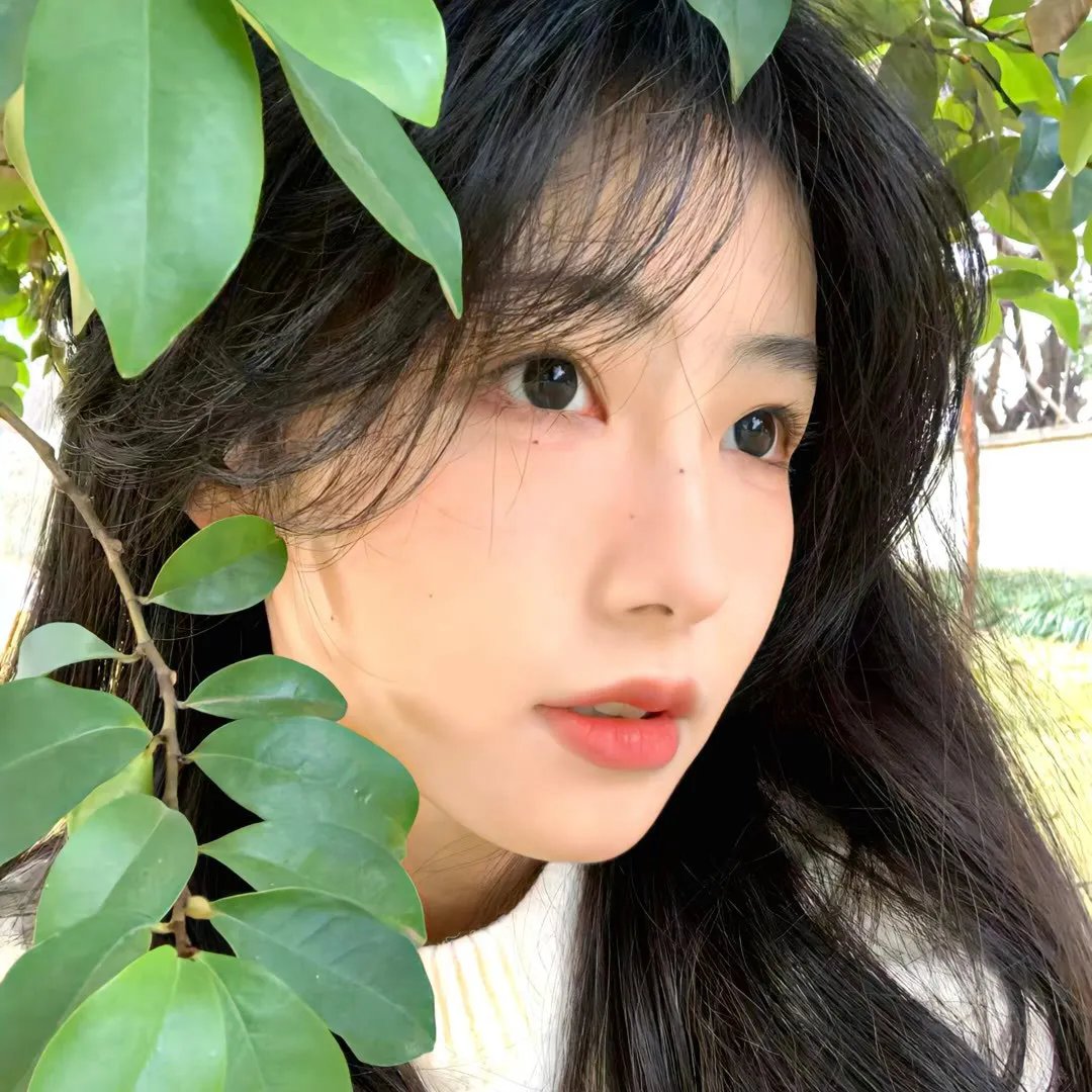 禁忌真相